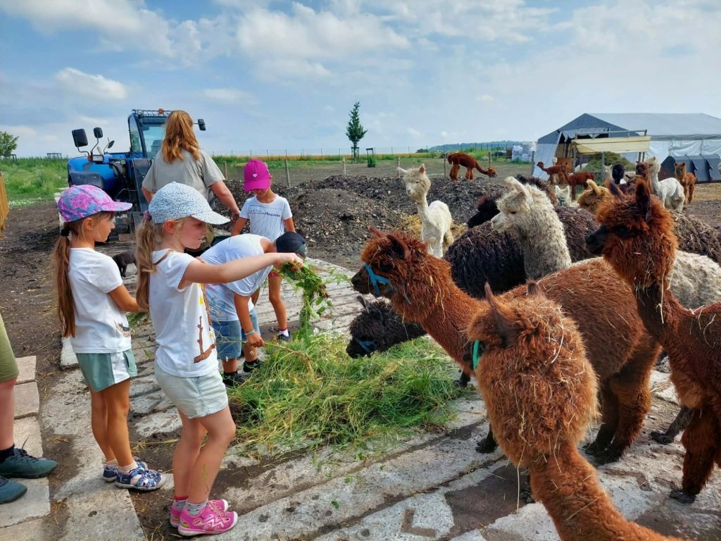 Prázdninová družina